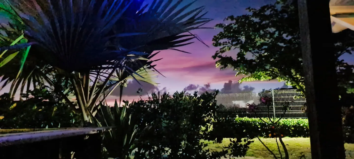 Environnement tropical