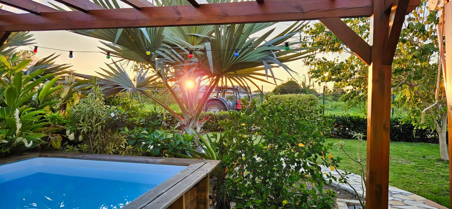 Ambiance tropicale